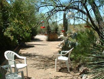 Hotel Bed And Bagels Of Tucson Tanque Verde Exterior foto